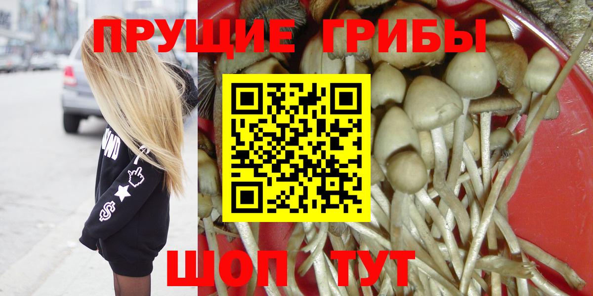 Псилоцибиновые грибы Cubensis  Вход с VPN  Галлюциногенные грибы MAGIC MUSHROOMS  Менделеевск 